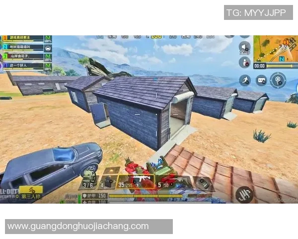 李静独家揭秘和平精英游戏技巧与心得分享助你成为战场高手 李静独家揭秘和平精英游戏技巧与心得分享助你成为战场高手