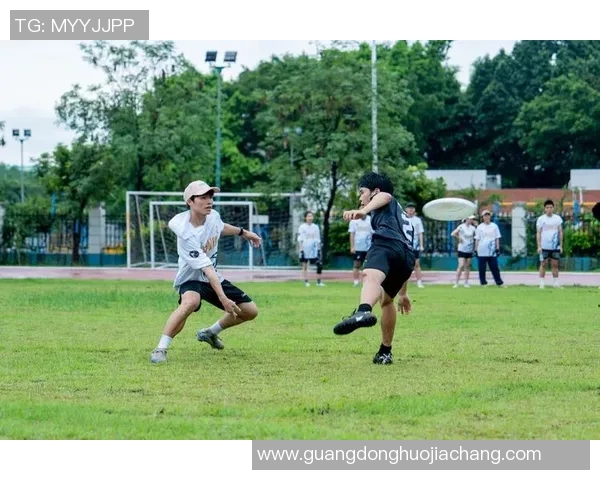 深圳飞盘队技术对比分析揭示团队优势与发展潜力 深圳飞盘队技术对比分析揭示团队优势与发展潜力