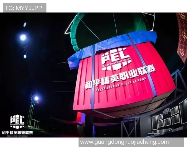 聚焦和平精英：探索WE战队如何在赛场上展现团队力量与合作精神