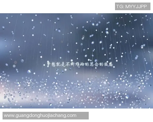 羽毛球人生的深度对话：刘磊的奋斗与梦想分享