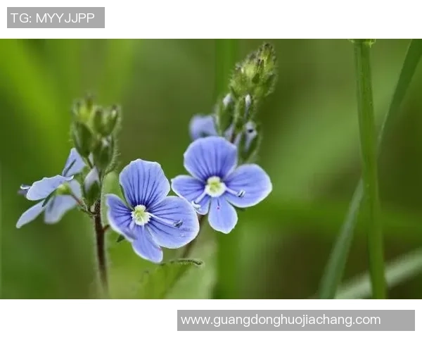 俞长栋：从平凡到卓越的奋斗之路与人生智慧分享
