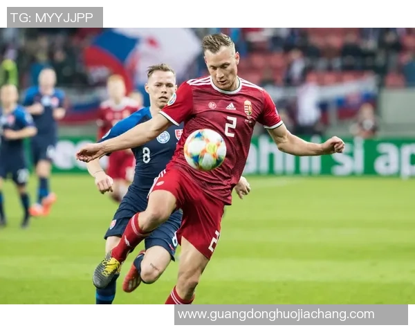 斯洛伐克与匈牙利足球实力对比分析哪支球队更具竞争力